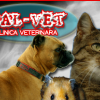 Sal-Vet - Cabinet veterinar Timisoara, Timis