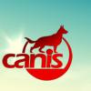 Canis - Dresaj Timisoara, Timis