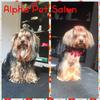 AlphaPet - Cosmetică veterinară sector 4, Bucuresti