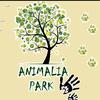 Animalia Park - Hotel animale Balotesti, Ilfov