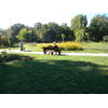 Parcul Herastrau - Parc sector 1, Bucuresti
