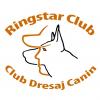 RingstarClub - Dresaj sector 1, Bucuresti