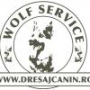 Dresaj Canin - Dresaj sector 4, Bucuresti