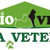 BioVet Primaverii - Cabinet veterinar Cluj-Napoca, Cluj