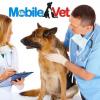 Mobile Vet - Cabinet veterinar sector 2, Bucuresti
