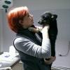 dr Livia Petre - Cabinet veterinar Galati