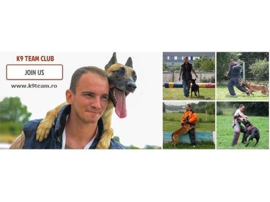 K9 Team Club - Dresaj sector 4, Bucuresti
