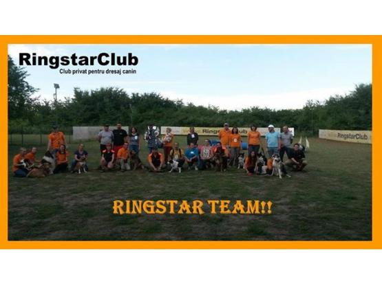 RingstarClub - Dresaj sector 1, Bucuresti