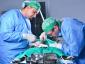 3VET - Cabinet veterinar sector 1, Bucuresti