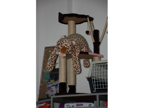 Funky Pet Shop - Pet shop sector 1, Bucuresti