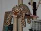 Funky Pet Shop - Pet shop sector 1, Bucuresti