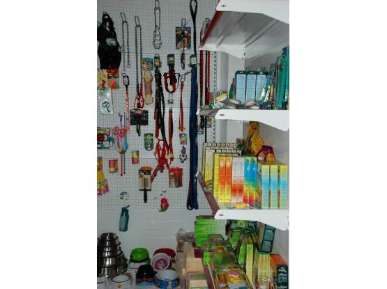 Funky Pet Shop - Pet shop sector 1, Bucuresti