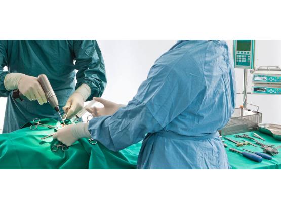 RadiusVet - Cabinet veterinar sector 2, Bucuresti