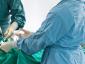 RadiusVet - Cabinet veterinar sector 2, Bucuresti