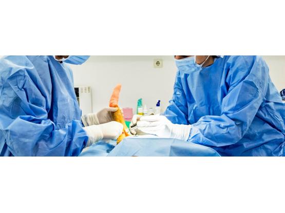 RadiusVet - Cabinet veterinar sector 2, Bucuresti