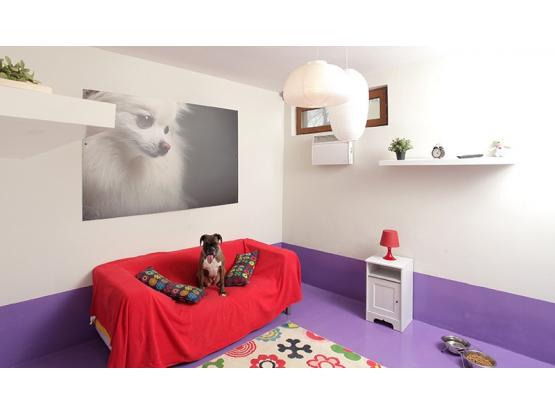 Planeta HamHam - Hotel animale sector 2, Bucuresti