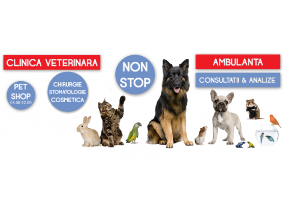 Tazy Vet - Cabinet veterinar sector 3, Bucuresti