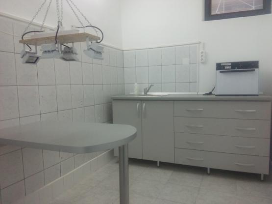 Doctorul Felinelor - Cabinet veterinar Brasov
