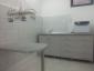 Doctorul Felinelor - Cabinet veterinar Brasov