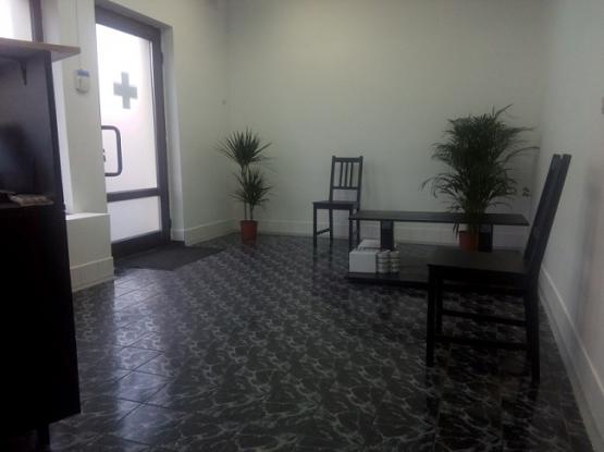 Doctorul Felinelor - Cabinet veterinar Brasov