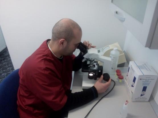 Doctorul Felinelor - Cabinet veterinar Brasov