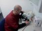 Doctorul Felinelor - Cabinet veterinar Brasov
