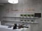 Brains & Bones  - Cabinet veterinar Voluntari, Ilfov