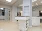 Brains & Bones  - Cabinet veterinar Voluntari, Ilfov