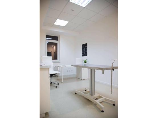 Brains & Bones  - Cabinet veterinar Voluntari, Ilfov
