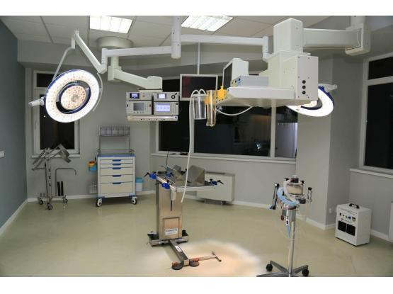 Brains & Bones  - Cabinet veterinar Voluntari, Ilfov
