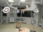 Brains & Bones  - Cabinet veterinar Voluntari, Ilfov