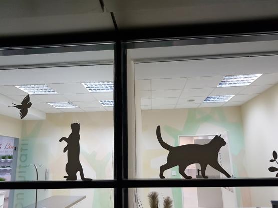 Brains & Bones  - Cabinet veterinar Voluntari, Ilfov