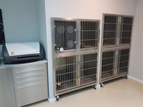 Brains & Bones  - Cabinet veterinar Voluntari, Ilfov