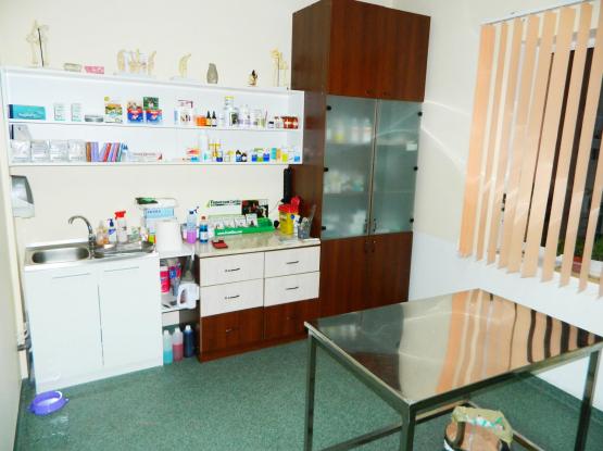 VET for PET - Cabinet veterinar Cluj-Napoca, Cluj