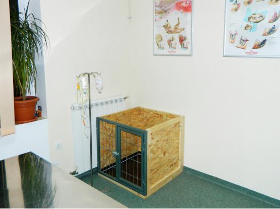 VET for PET - Cabinet veterinar Cluj-Napoca, Cluj