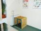 VET for PET - Cabinet veterinar Cluj-Napoca, Cluj