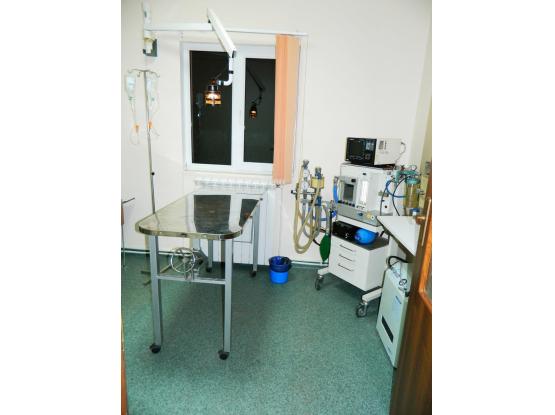 VET for PET - Cabinet veterinar Cluj-Napoca, Cluj