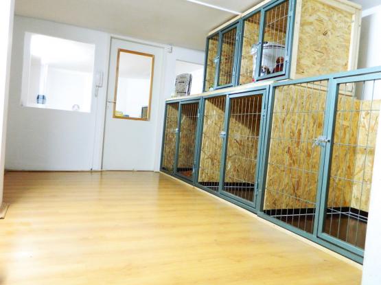 VET for PET - Cabinet veterinar Cluj-Napoca, Cluj