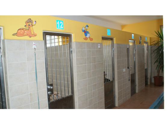 MarcoVet - Hotel animale Voluntari, Ilfov