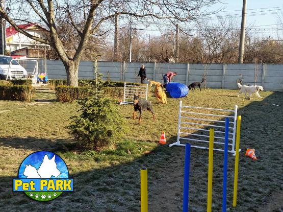 Pet Park - Hotel animale Dascalu, Ilfov