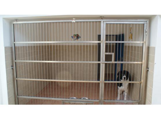 MarcoVet - Hotel animale Voluntari, Ilfov