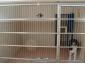 MarcoVet - Hotel animale Voluntari, Ilfov