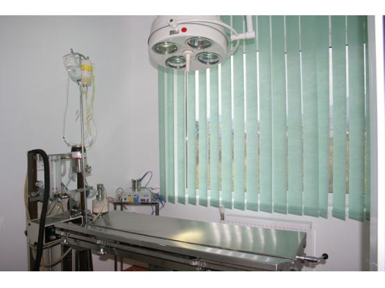Kronvet - Cabinet veterinar Brasov