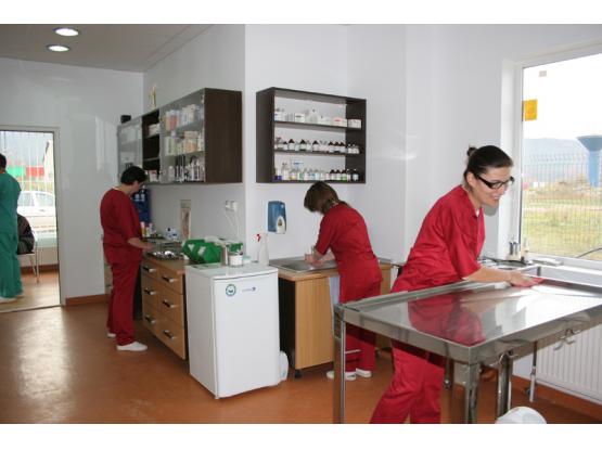 Kronvet - Cabinet veterinar Brasov