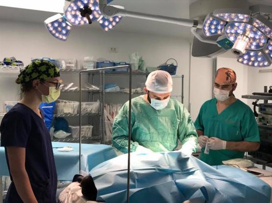 Centru de endoscopie și chirurgie minim invazivă veterinară - Cabinet veterinar sector 1, Bucuresti