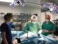 Centru de endoscopie și chirurgie minim invazivă veterinară - Cabinet veterinar sector 1, Bucuresti