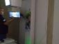 Radiologie veterinara NON STOP - Cabinet veterinar Chitila, Ilfov