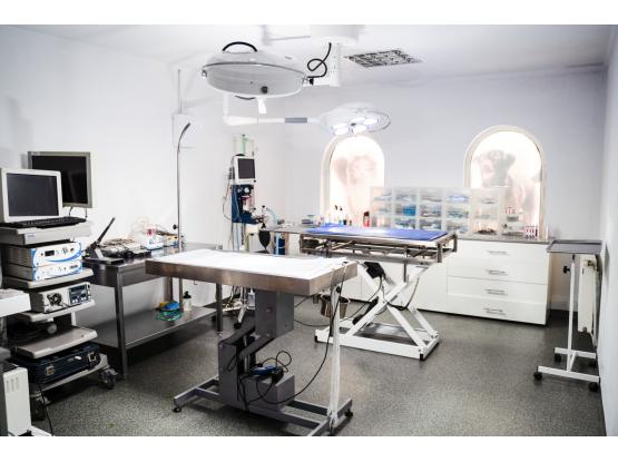 Vetlife - Cabinet veterinar Voluntari, Ilfov