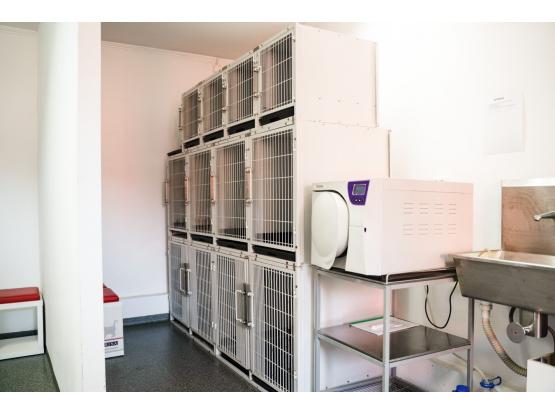 Vetlife - Cabinet veterinar Voluntari, Ilfov