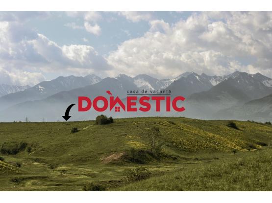 Casa de vacanta Domestic - Cazare pentru amândoi Vistea de Sus, Brasov